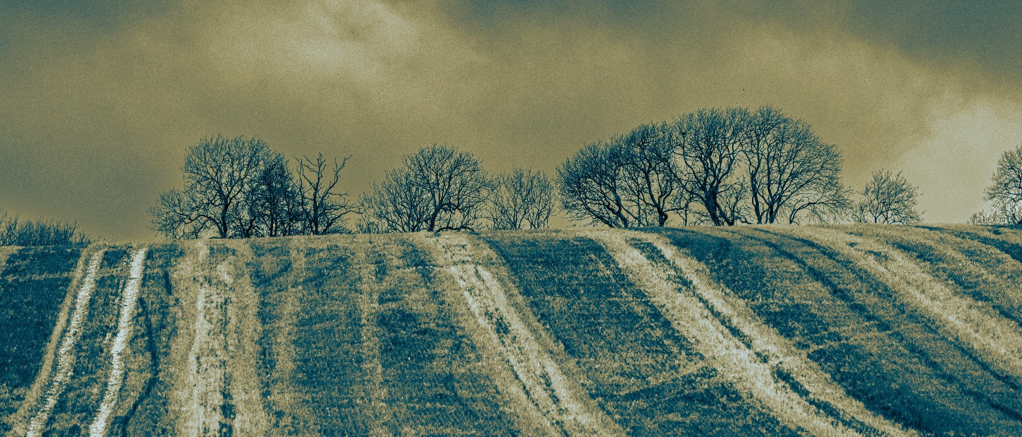 Following the Lines